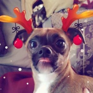 Meet your Posher, Steven